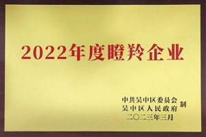 2022瞪羚企业